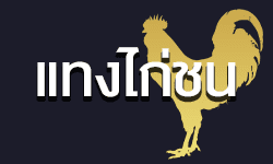 แทงไก่ชน logo