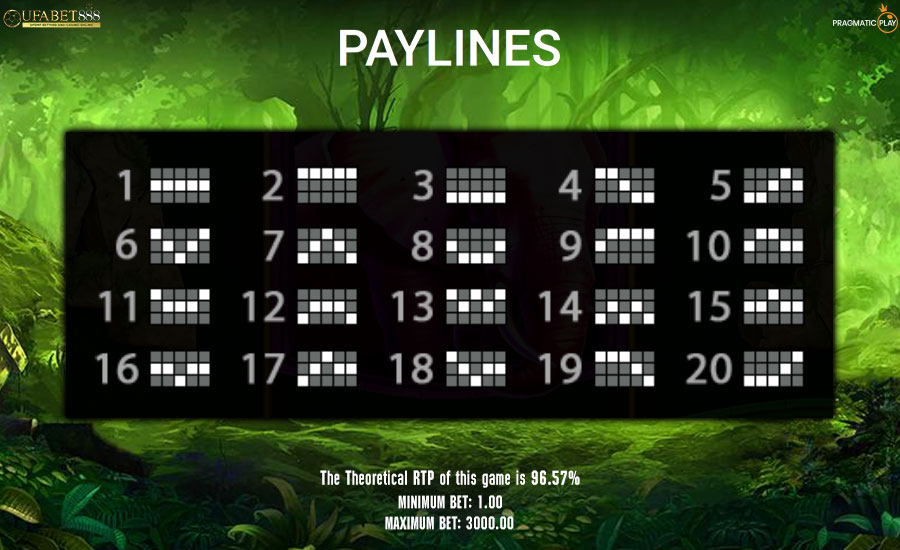 Paylines Jungle Gorilla